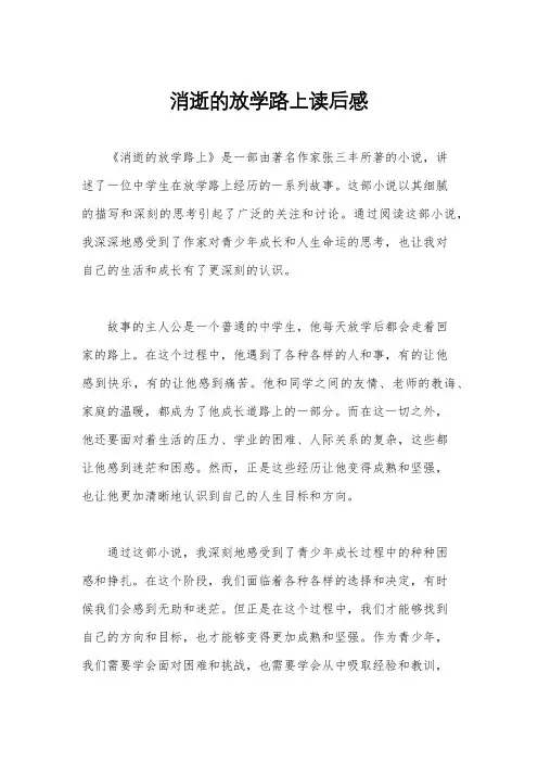 消逝的放学路上读后感