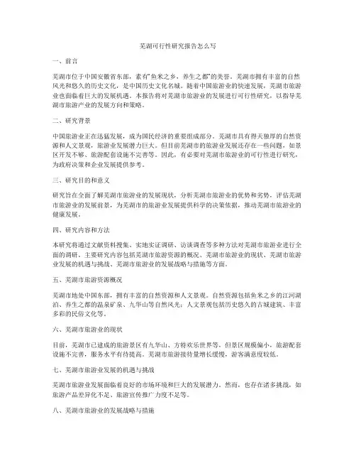 芜湖可行性研究报告怎么写