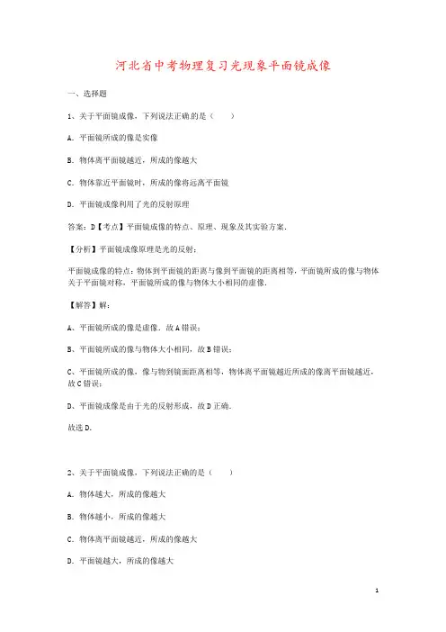 河北省中考物理复习光现象平面镜成像