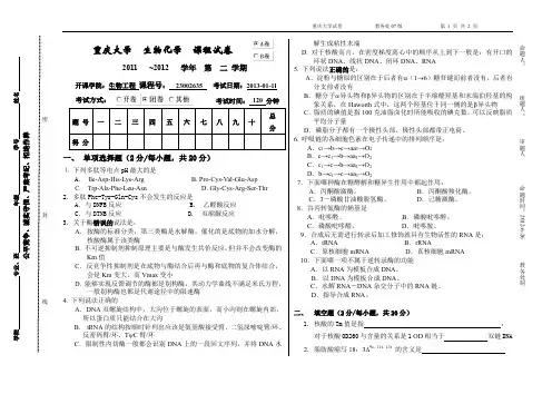 2013生化A