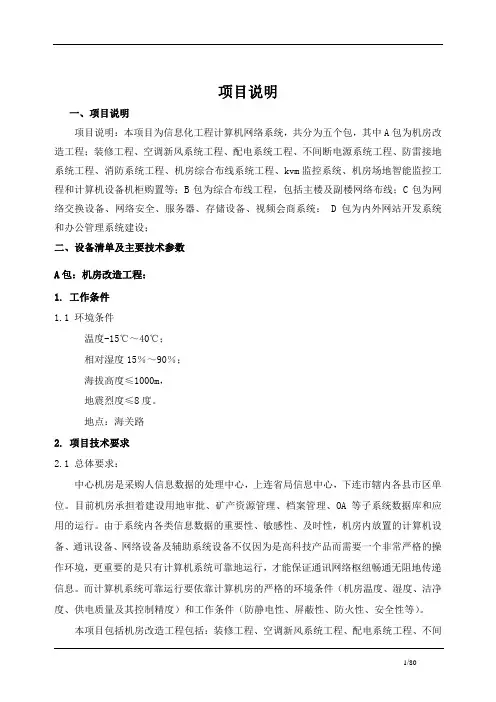 信息化,信息化项目