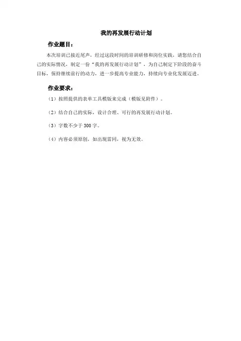 我的再发展行动计划(12)