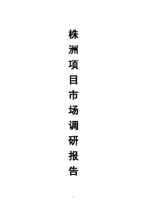 株洲项目前期调研报告