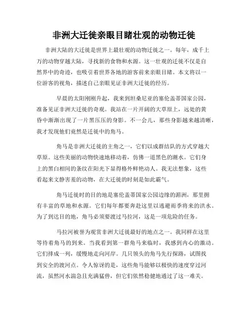 非洲大迁徙亲眼目睹壮观的动物迁徙