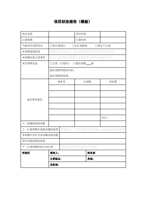 项目状态报告