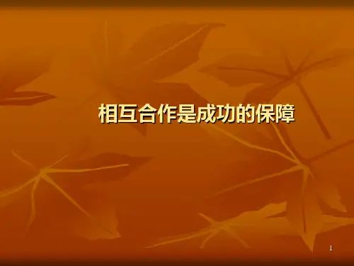相互合作是成功的保障 PPT课件