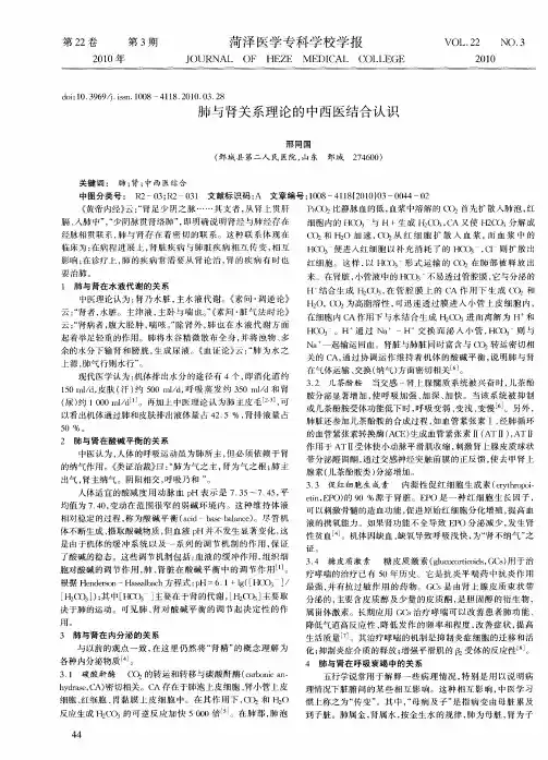 肺与肾关系理论的中西医结合认识