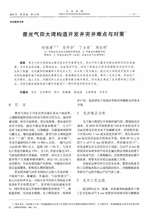 普光气田大湾构造开发井完井难点与对策