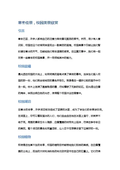 寒冬佳景,校园美景欣赏