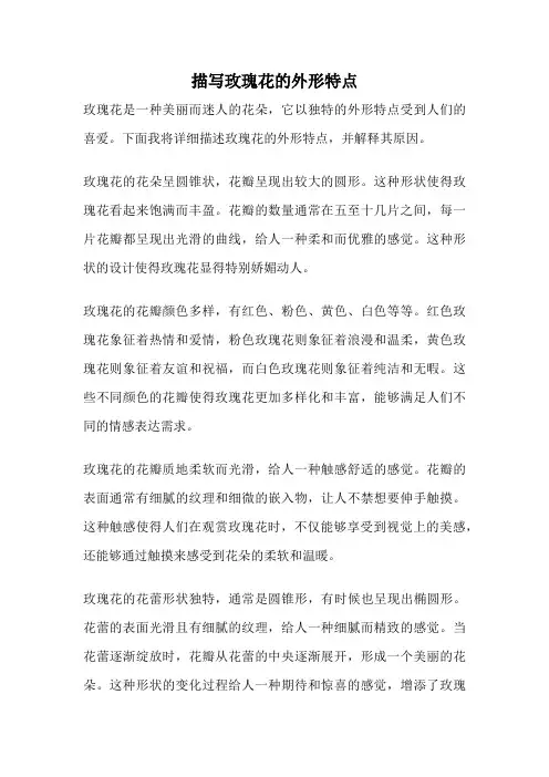 描写玫瑰花的外形特点