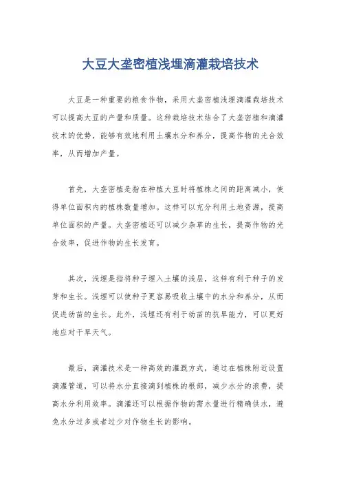 大豆大垄密植浅埋滴灌栽培技术