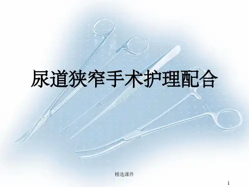 尿道狭窄切开术ppt课件
