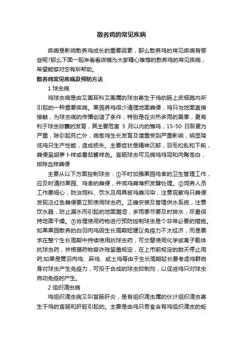 散养鸡的常见疾病
