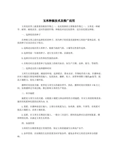 玉米种植技术及推广应用
