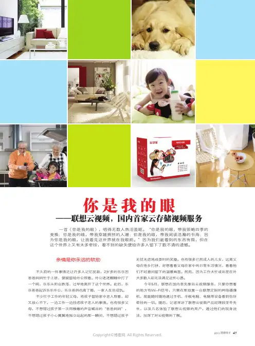 你是我的眼