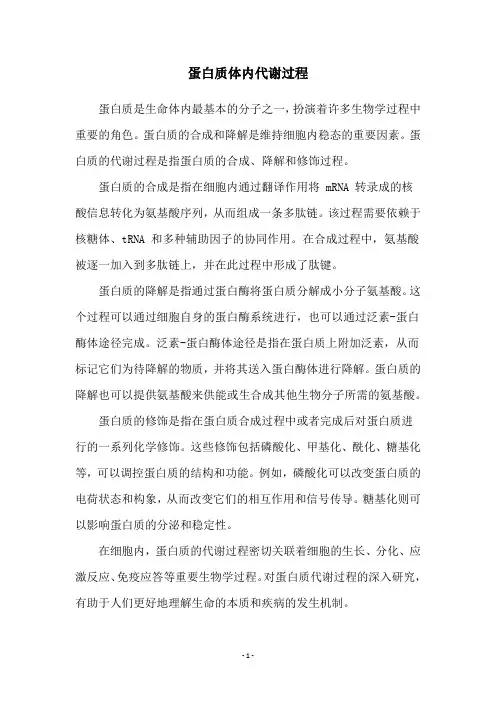 蛋白质体内代谢过程