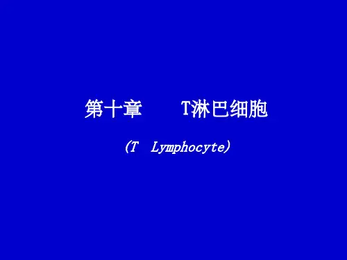 第十章 T淋巴细胞