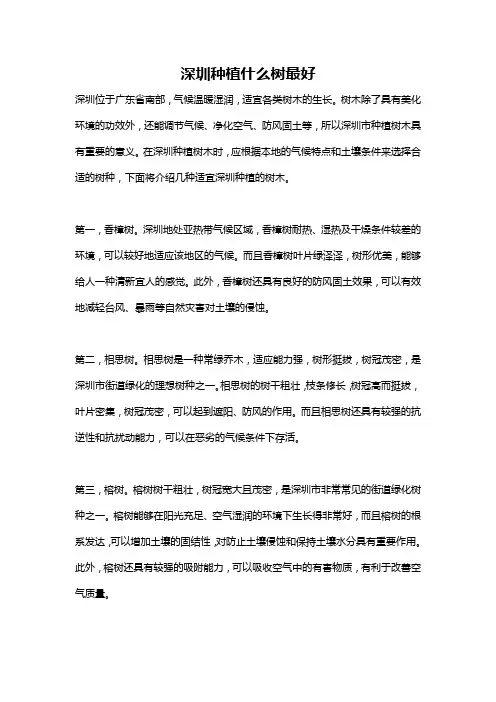 深圳种植什么树最好