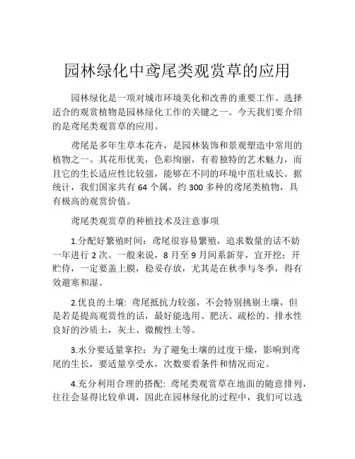 园林绿化中鸢尾类观赏草的应用
