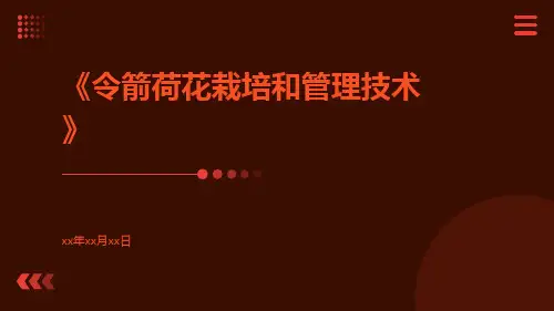 令箭荷花栽培和管理技术