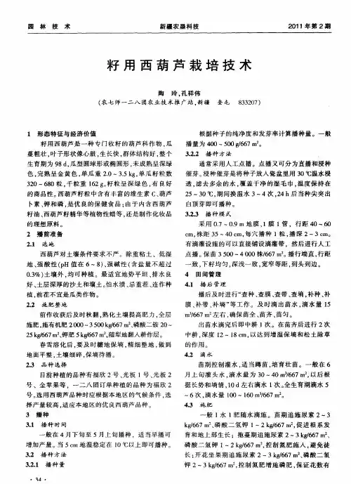 籽用西葫芦栽培技术