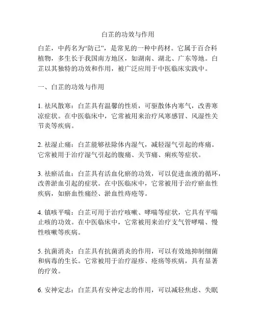 白芷的功效与作用