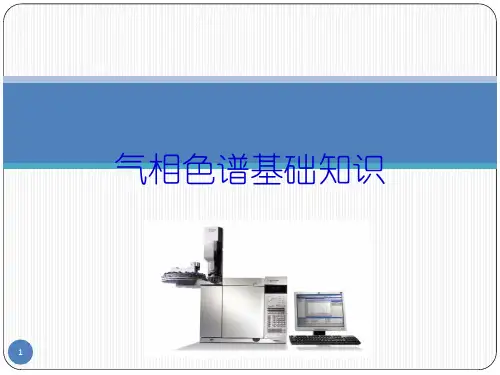 气相色谱原理基础ppt课件