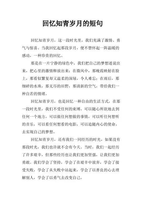 回忆知青岁月的短句