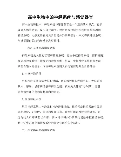 高中生物中的神经系统与感觉器官