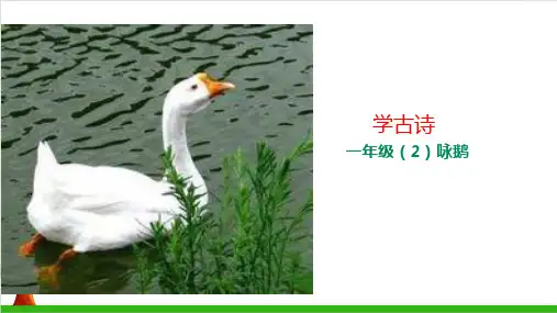 一年级上册语文学古诗《咏鹅》 部编本