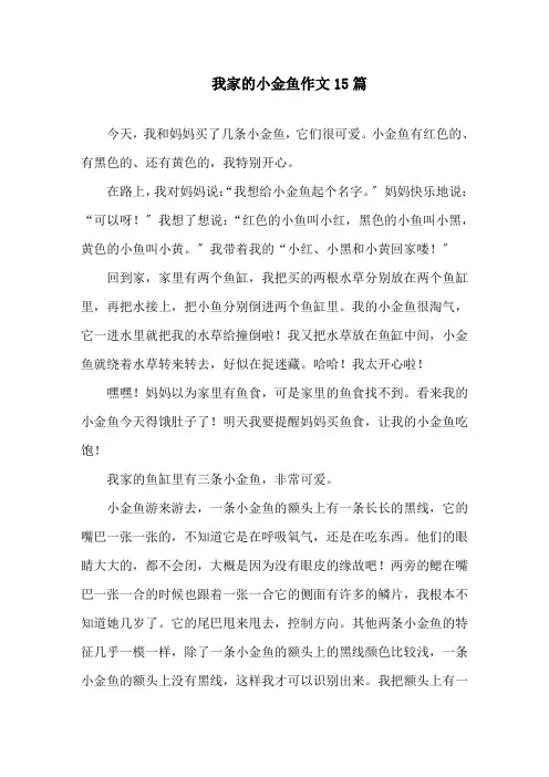 我家的小金鱼作文15篇精选