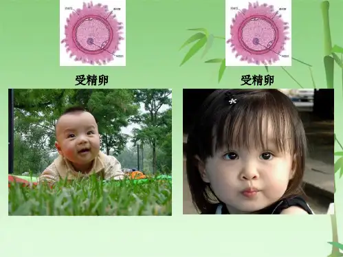 高中生物《第二章 第三节 伴性遗传》课件1 新人教版必修2(共55张PPT)