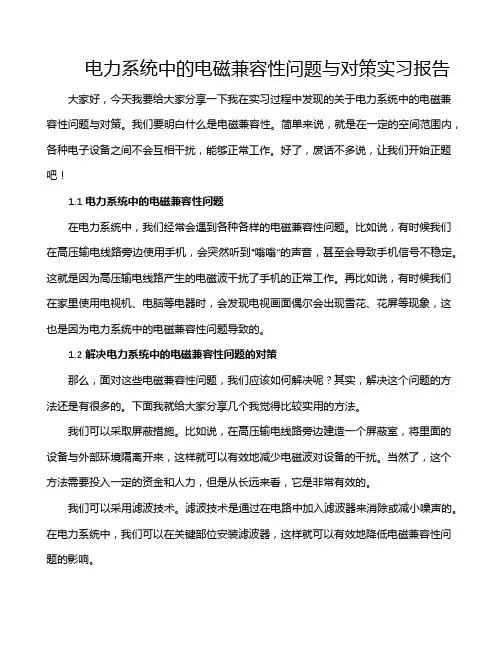 电力系统中的电磁兼容性问题与对策实习报告
