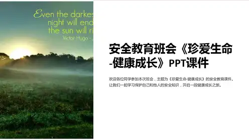 安全教育班会《珍爱生命-健康成长》课件