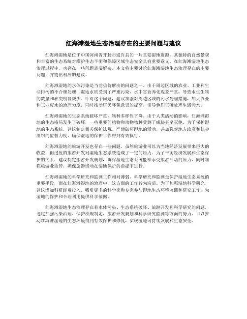 红海滩湿地生态治理存在的主要问题与建议