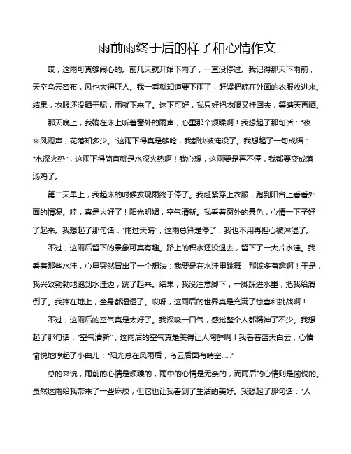 雨前雨终于后的样子和心情作文