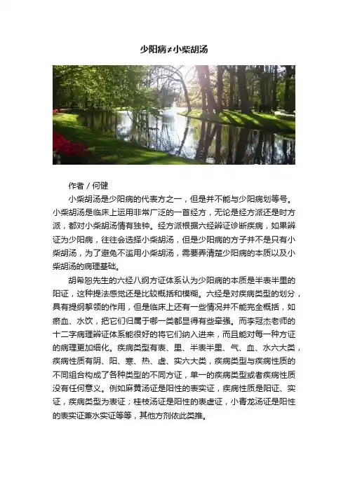 少阳病≠小柴胡汤