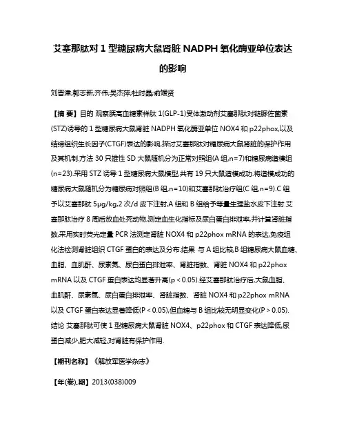艾塞那肽对1型糖尿病大鼠肾脏NADPH氧化酶亚单位表达的影响