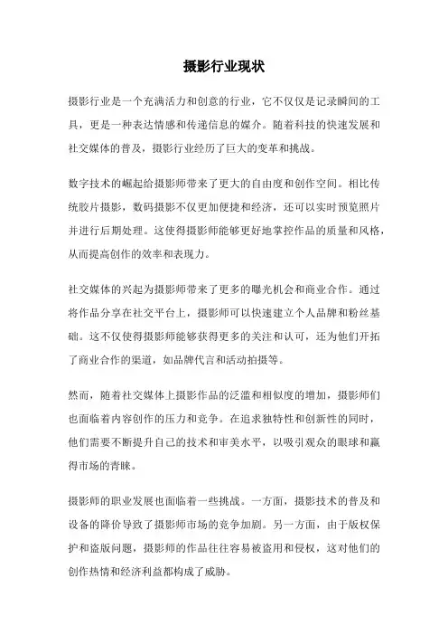 摄影行业现状