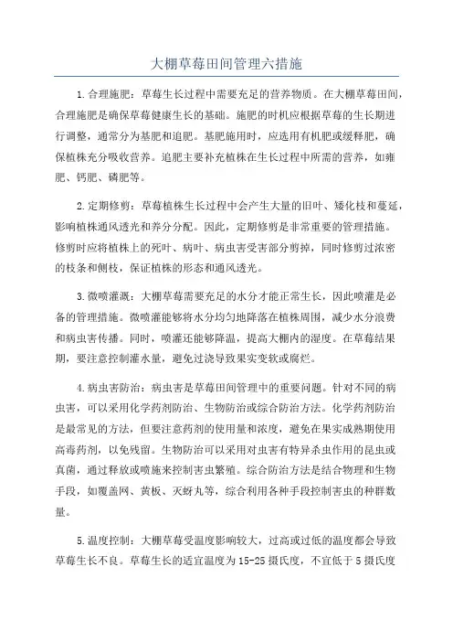 大棚草莓田间管理六措施