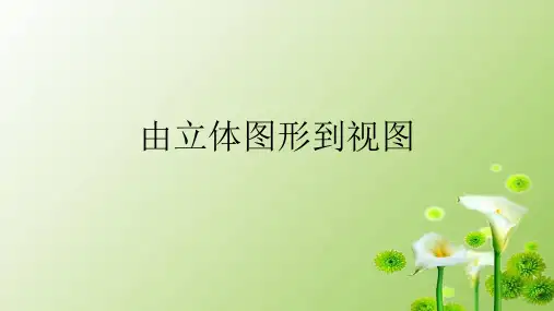 华东师大版数学七年级上册由立体图形到视图PPT精品课件