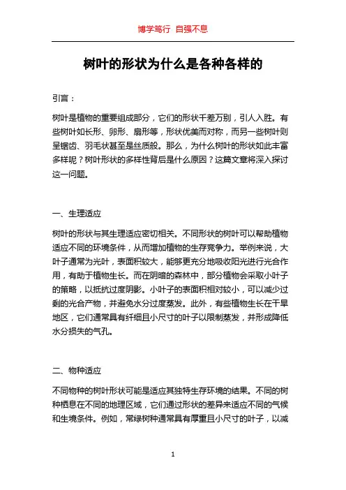 树叶的形状为什么是各种各样的