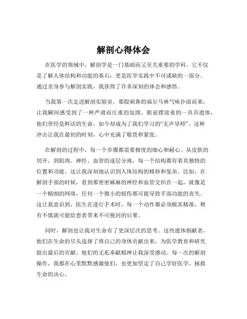 解剖心得体会