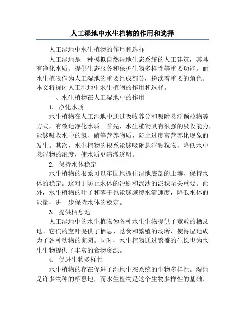 人工湿地中水生植物的作用和选择
