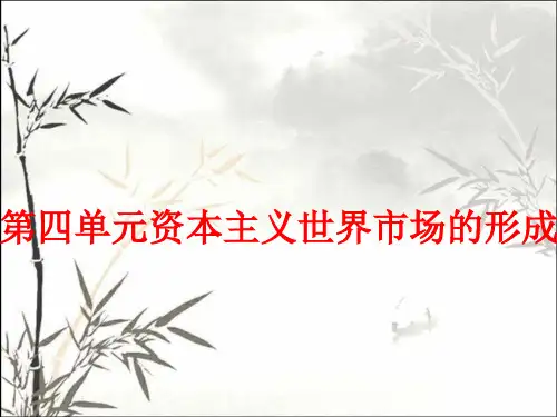 资本主义世界市场的形成和发展 PPT课件