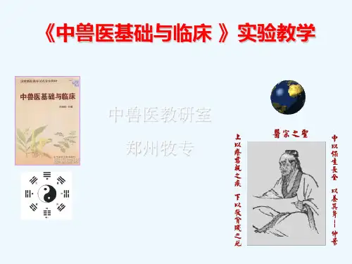 实验七大承气汤攻下作用