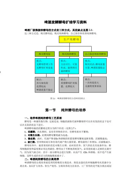 啤酒发酵酵母扩培学习资料