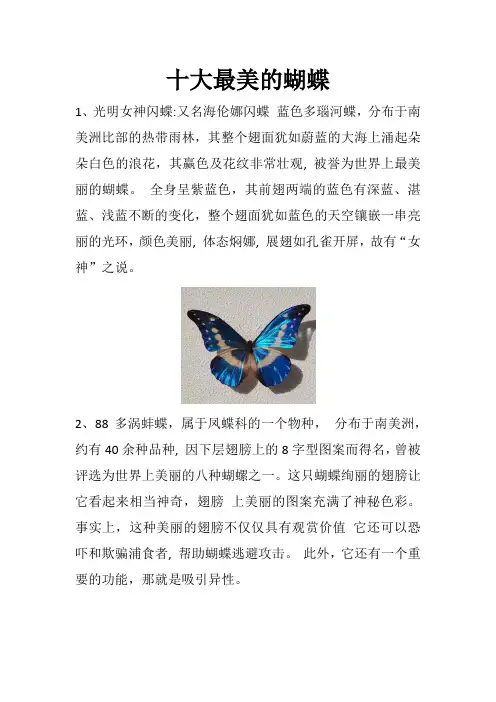 十大最美的蝴蝶