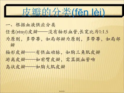 皮瓣的分类
