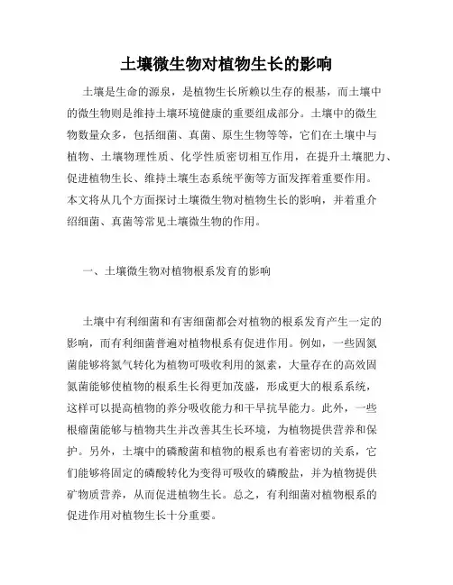 土壤微生物对植物生长的影响